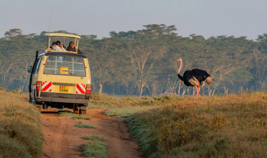 Kenya Safari Photography Tips: Better Pictures Without Chasing the Animals