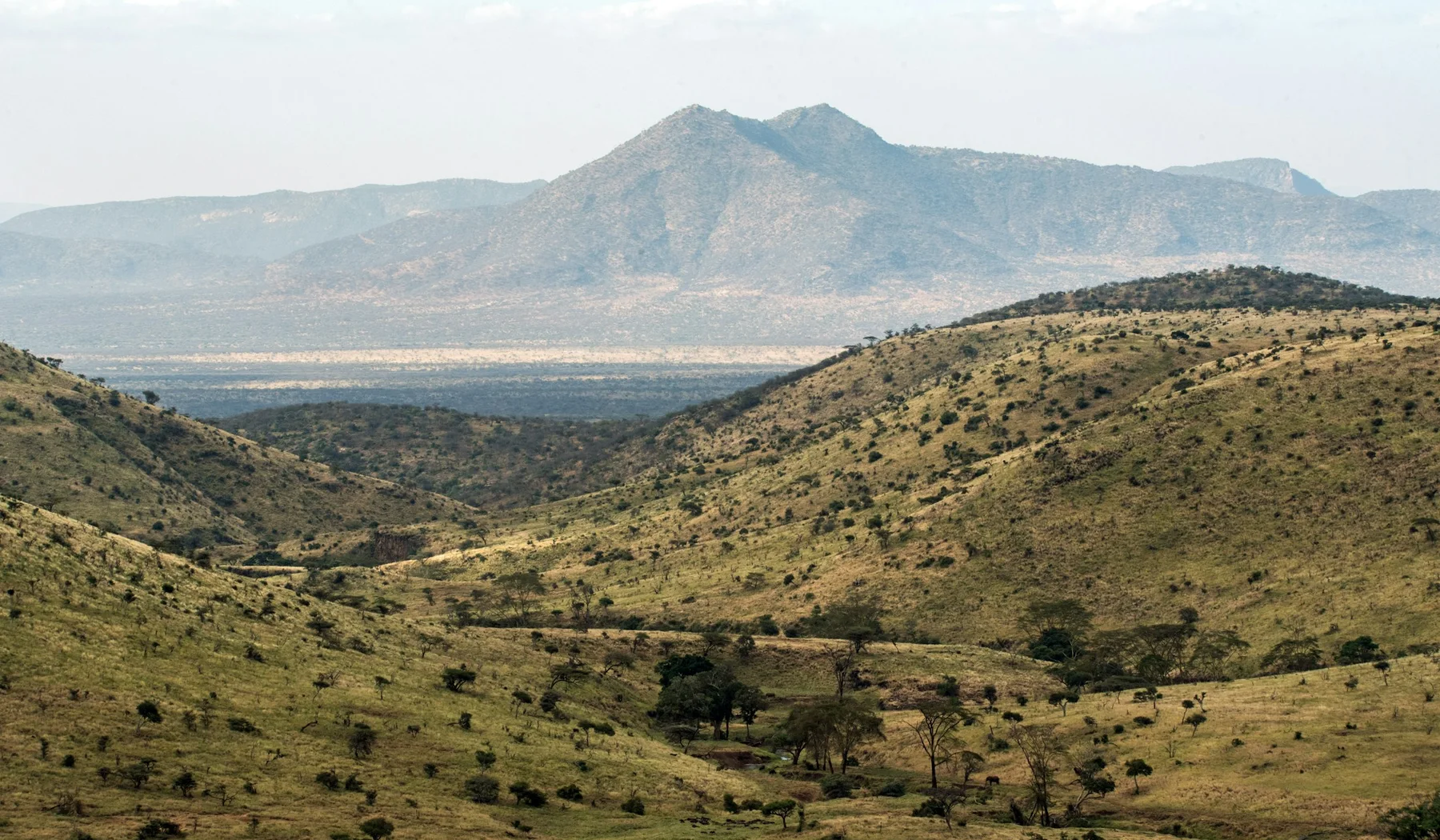 Lewa Conservancy landscape toward the hills near Samburu in Kenya