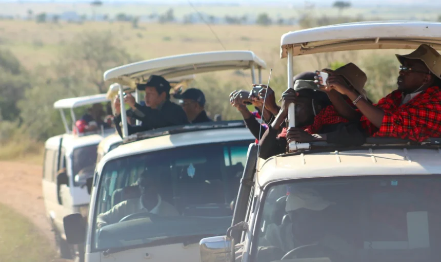 What to Wear on Morning, Day and Night Game Drives in Kenya