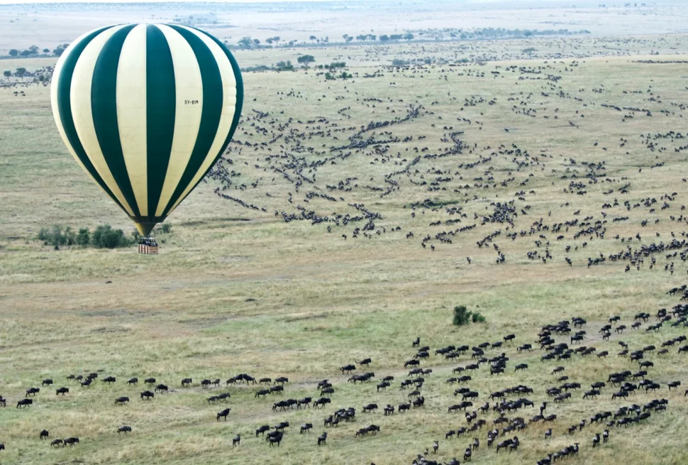 Hot-air balloon flying above wildebeest herds in the Maasai Mara