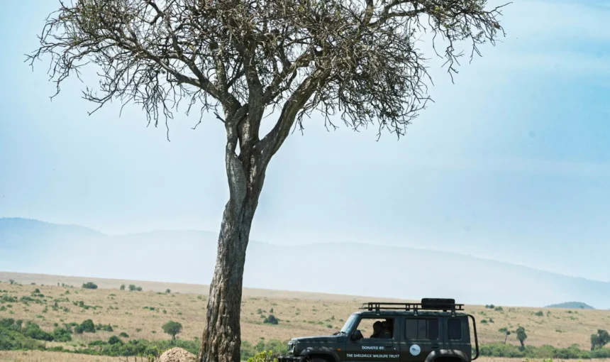 Kenya Safari for Solo Travellers: What the Days Actually Feel Like