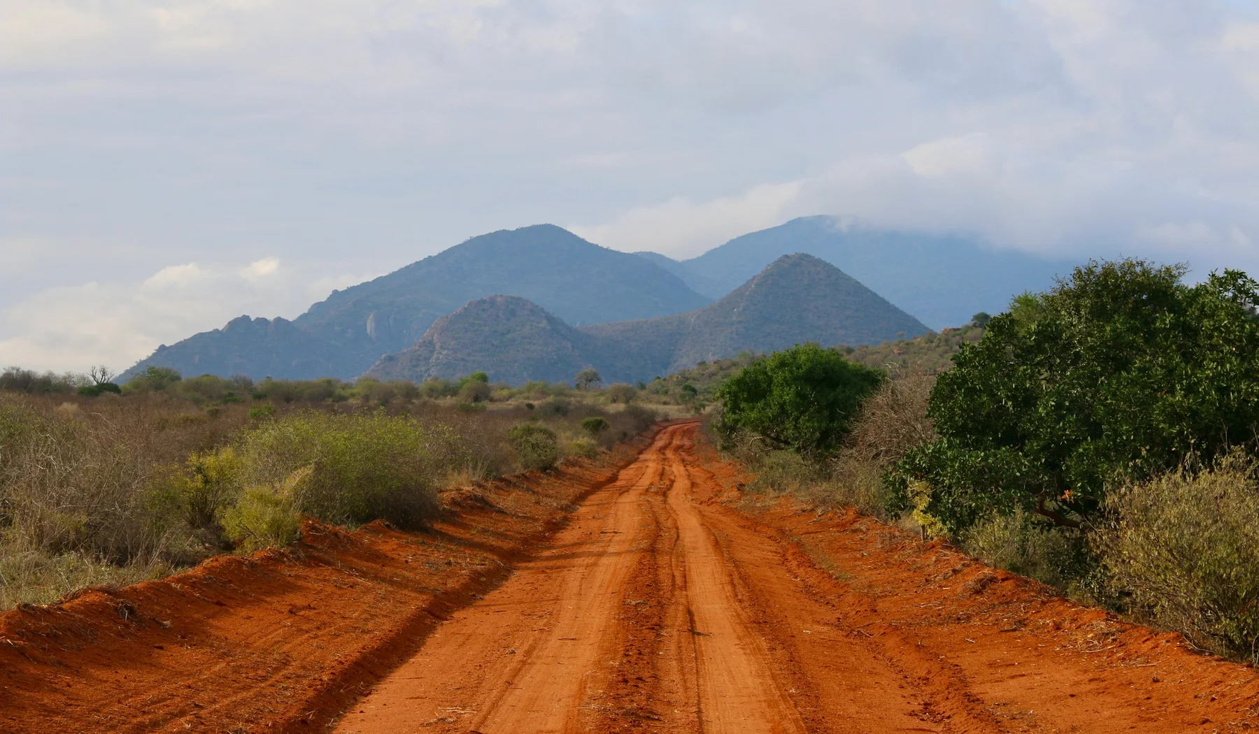 Red dirt road crossing bushland towards hills in Tsavo National Park